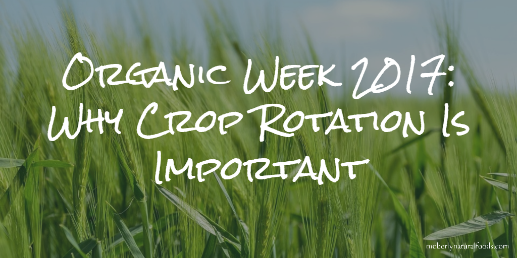 Organic Week 2017: Why Crop Rotation Is Important - Moberly Natural Foods